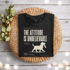 Attitude is Unbelievable