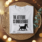Attitude is Unbelievable